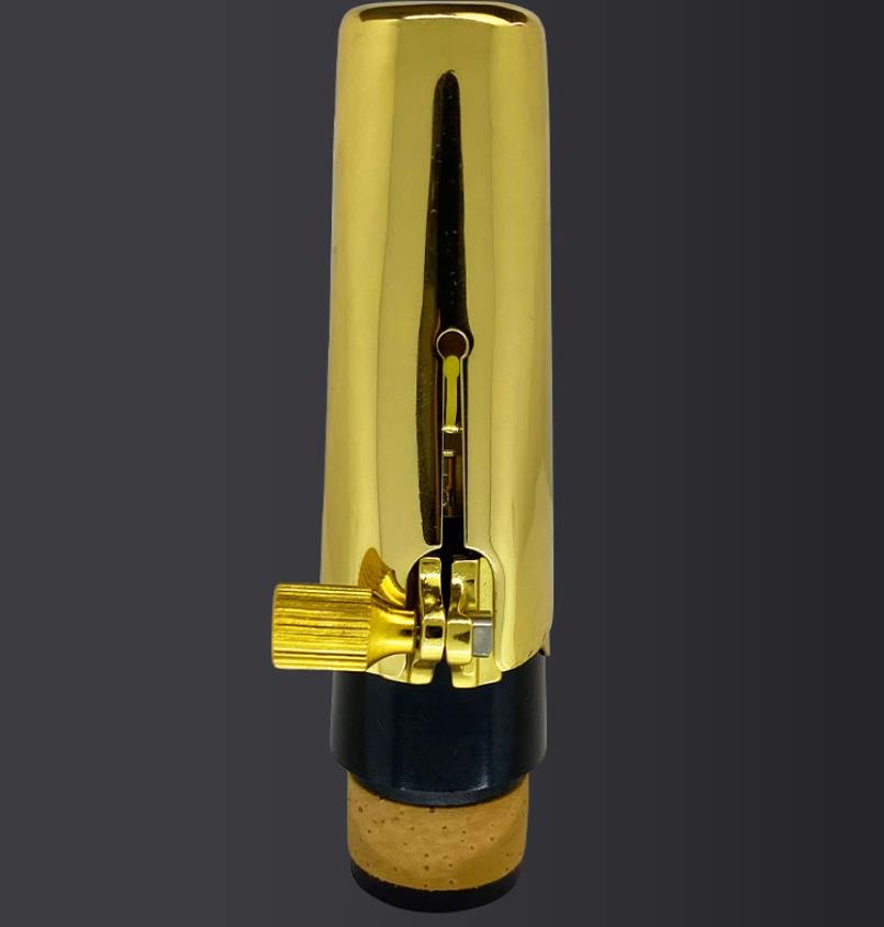 قطعة فم معدنية للكلارينيت، ملح - مراجعة Clarinet Care Kit وسعره